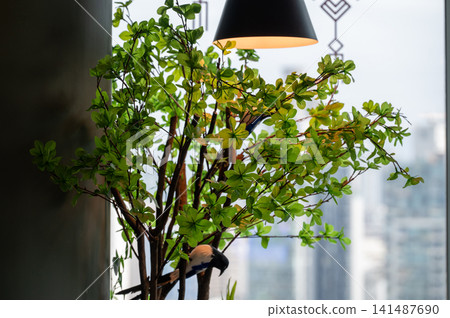 Close-up of the lighting indoors with plants. Light bulb with plants. Interior design, decoration. Lighting equipment. Close-up of the lighting indoors with plants. Light bulb with plants. Interior design, decoration. Lighting equipment. 141487690