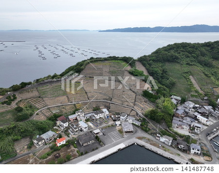 Early summer scenery of the Mizunoura terraced fields and the Uwa Sea in the early morning. Early summer scenery of the Mizunoura terraced fields and the Uwa Sea in the early morning. 141487748