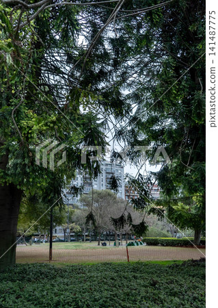 Large trees and a grassy area in a plaza on a cloudy autumn day Large trees and a grassy area in a plaza on a cloudy autumn day 141487775