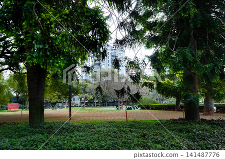 Large trees and a grassy area in a plaza on a cloudy autumn day Large trees and a grassy area in a plaza on a cloudy autumn day 141487776