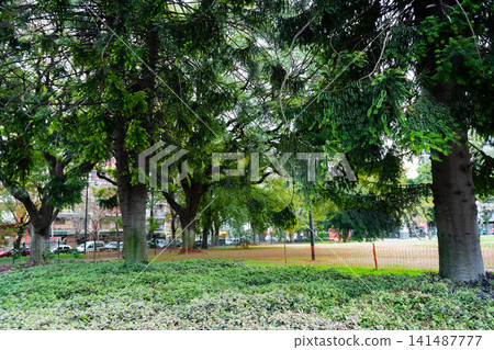 Large trees and a grassy area in a plaza on a cloudy autumn day Large trees and a grassy area in a plaza on a cloudy autumn day 141487777