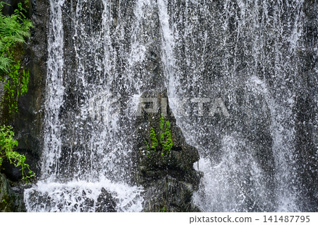The view of the waterfall in a public park. Splashing Water, water flowing. Nature concept. The view of the waterfall in a public park. Splashing Water, water flowing. Nature concept. 141487795