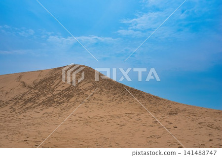 [Tottori Sand Dunes] 141488747