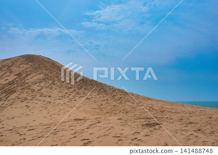 [Tottori Sand Dunes] 141488748