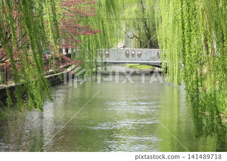 Hirose River and Willow Hirose River and Willow 141489718