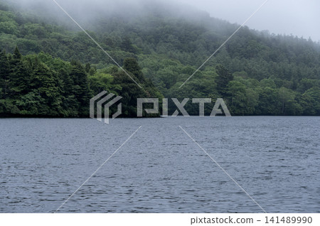 雨季雨水下的雲湖和蒼翠欲滴的山巒。 141489990