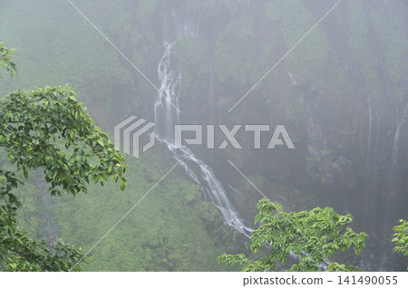 雨季時節,凱貢瀑布籠罩在濃霧之中,潺潺的流水從岩石峭壁上傾瀉而下。 雨季時節,凱貢瀑布籠罩在濃霧之中,潺潺的流水從岩石峭壁上傾瀉而下。 141490055