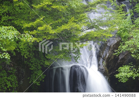 Oku-Nikko's Ryuzu Falls, glistening with the rain of the rainy season, and the vibrant new greenery. Oku-Nikko's Ryuzu Falls, glistening with the rain of the rainy season, and the vibrant new greenery. 141490088