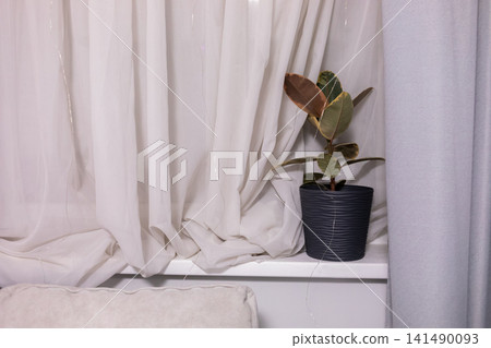 Small potted houseplant placed on a white shelf beside soft curtains, creating a calm minimalist interior scene with natural greenery, clean decor and cozy home atmosphere Small potted houseplant placed on a white shelf beside soft curtains, creating a calm minimalist interior scene with natural greenery, clean decor and cozy home atmosphere 141490093
