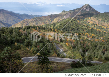 The scenery of Shiga-Kusatsu Plateau in autumn when the leaves turn yellow. The scenery of Shiga-Kusatsu Plateau in autumn when the leaves turn yellow. 141490113