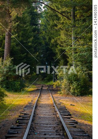 Old railway tracks leading into a lush green forest on a sunny summer day Old railway tracks leading into a lush green forest on a sunny summer day 141490305