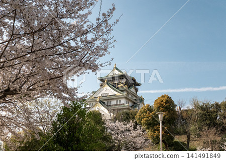 Osaka Castle Osaka Castle 141491849
