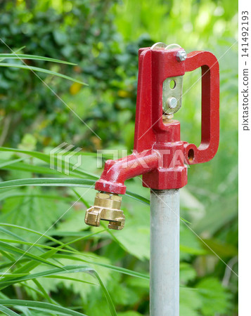 Red garden water pump supplying fresh water Red garden water pump supplying fresh water 141492193