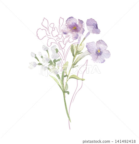 Watercolor flower illustration with delicate contour drawing isolated. Floral composition of purple petals on thin stems hand drawn. Botanical sketch pastel colors for design greeting card or wedding. Watercolor flower illustration with delicate contour drawing isolated. Floral composition of purple petals on thin stems hand drawn. Botanical sketch pastel colors for design greeting card or wedding. 141492418
