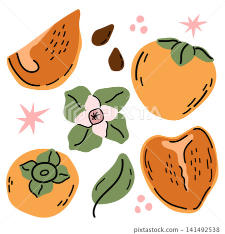 Hand Drawn Persimmon Clipart Set with Whole and Sliced Fruits 141492538