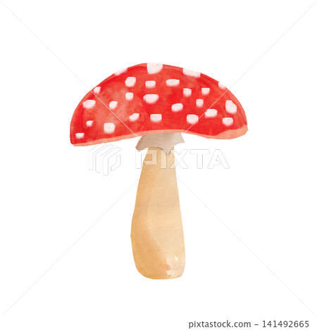 手繪的紅色蘑菇插圖 手繪的紅色蘑菇插圖 141492665