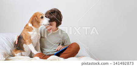 In candid moment, the boy's study break turns into laughter as his beagle decides it's time for kiss, heartwarming scene of friendship and fun. A cozy afternoon, and a boy is playfully interrupted In candid moment, the boy's study break turns into laughter as his beagle decides it's time for kiss, heartwarming scene of friendship and fun. A cozy afternoon, and a boy is playfully interrupted 141492873