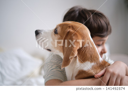 Adorable moment captured of a young boy embracing his beloved beagle, eyes closed in pure joy. Heartwarming photo of a child showing affection for his loyal four-legged friend Adorable moment captured of a young boy embracing his beloved beagle, eyes closed in pure joy. Heartwarming photo of a child showing affection for his loyal four-legged friend 141492874