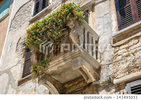 Historic stone balcony with plants in Rovinj, Istria, Croatia. Historic stone balcony with plants in Rovinj, Istria, Croatia. 141493031