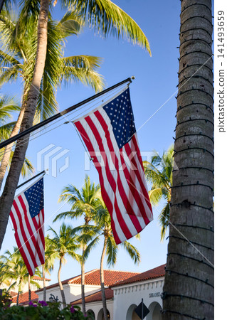 American Flags Hanging Between Palm Trees Against Blue Sky American Flags Hanging Between Palm Trees Against Blue Sky 141493659