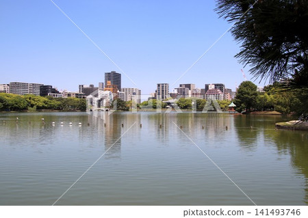 Scenery of Ohori Park in Fukuoka City Scenery of Ohori Park in Fukuoka City 141493746