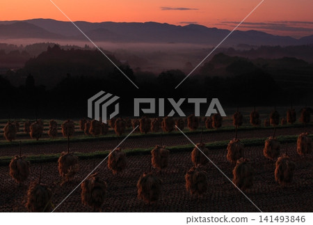 A plateau with morning mist A plateau with morning mist 141493846