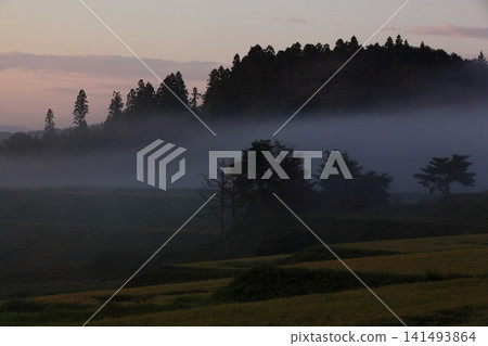 A plateau with morning mist A plateau with morning mist 141493864