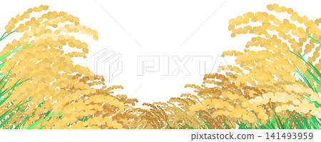 一幅描繪稻田成熟景象的插圖。 141493959