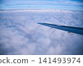 從飛機窗口的風景 141493974