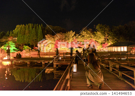 Autumn foliage light-up at Sankeien Garden in Mihara City, Hiroshima Prefecture Autumn foliage light-up at Sankeien Garden in Mihara City, Hiroshima Prefecture 141494653