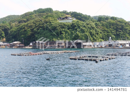 A landscape lined with boathouses 141494781