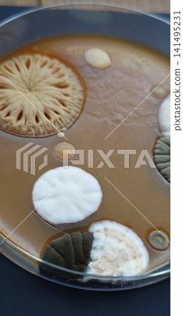 Various types of floating mold Various types of floating mold 141495231