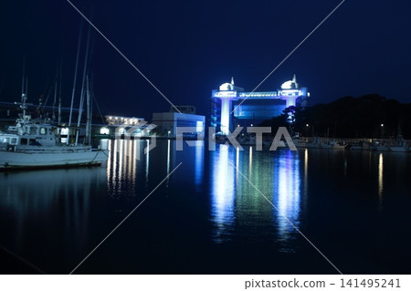 The illuminated sluice gates of Numazu Fishing Port 141495241