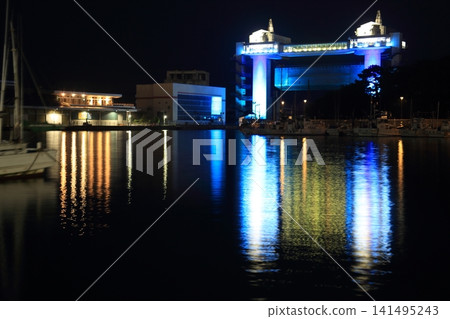 Numazu Fishing Port, illuminated at night 141495243