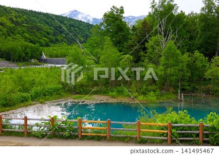 Hokkaido, Biei, the town of hills, early summer in Hokkaido, the mystical Blue Pond of Shirogane, a place where if you visit early in the morning, there are no tourists around, and the Blue Pond is a sight to behold at dawn. Hokkaido, Biei, the town of hills, early summer in Hokkaido, the mystical Blue Pond of Shirogane, a place where if you visit early in the morning, there are no tourists around, and the Blue Pond is a sight to behold at dawn. 141495467