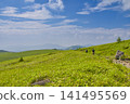 [Nagano Prefecture] Summer Hiking in Kirigamine Plateau from Kurumayama Shoulder to Kurumayama 141495569