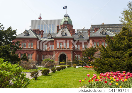 The red brick architecture of the former Hokkaido Government Office building and the spring garden scenery with blooming tulips. The red brick architecture of the former Hokkaido Government Office building and the spring garden scenery with blooming tulips. 141495724