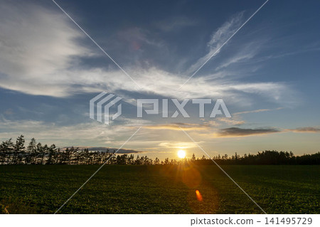 夕陽照亮了北海道的田野和山丘,以及富良野和美瑤壯麗的鄉村景色。 夕陽照亮了北海道的田野和山丘,以及富良野和美瑤壯麗的鄉村景色。 141495729