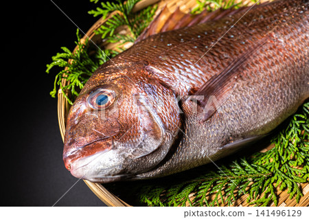 籃子裡的鯛魚 籃子裡的鯛魚 141496129