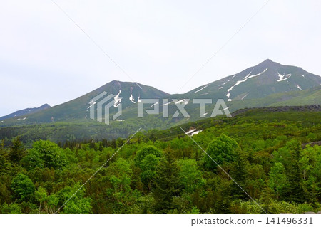 北海道初夏至夏季:健行穿越大雪山國立公園,從十勝岳展望台欣賞美瑛和十勝山脈的景色。 北海道初夏至夏季:健行穿越大雪山國立公園,從十勝岳展望台欣賞美瑛和十勝山脈的景色。 141496331