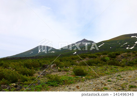 北海道初夏至夏季:健行穿越大雪山國立公園,從十勝岳展望台欣賞美瑛和十勝山脈的景色。 北海道初夏至夏季:健行穿越大雪山國立公園,從十勝岳展望台欣賞美瑛和十勝山脈的景色。 141496343