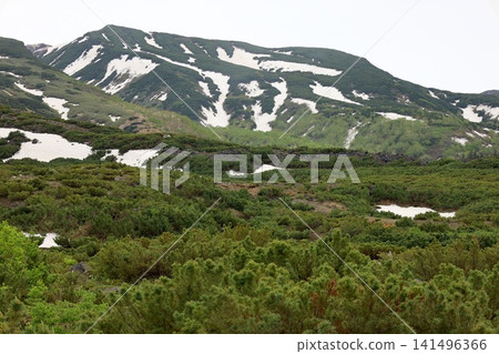 北海道初夏至夏季:健行穿越大雪山國立公園,從十勝岳展望台欣賞美瑛和十勝山脈的景色。 北海道初夏至夏季:健行穿越大雪山國立公園,從十勝岳展望台欣賞美瑛和十勝山脈的景色。 141496366