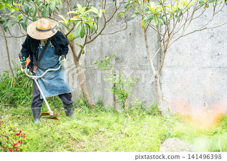 Elderly man mowing with a mower in early summer Elderly man mowing with a mower in early summer 141496398