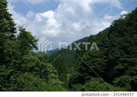 Tottori: A Stroll Through the Seasons - Summer - Saji and Onbara Tottori: A Stroll Through the Seasons - Summer - Saji and Onbara 141496457