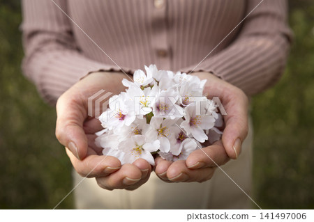 A woman with her hands full of flowers A woman with her hands full of flowers 141497006