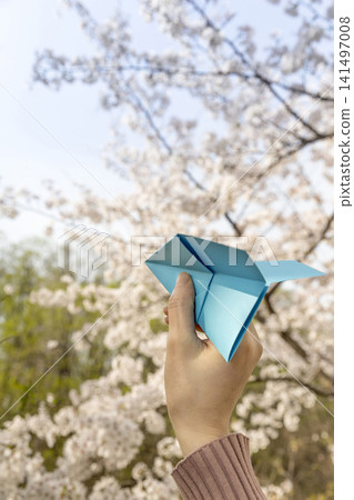 Cherry blossoms and airplanes on a spring day Cherry blossoms and airplanes on a spring day 141497008