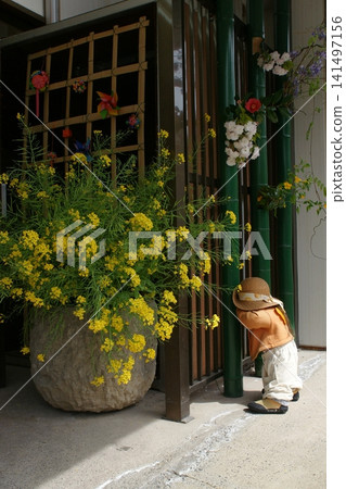 Tottori four seasons walk Mochigase no Nagashi Hina 141497156