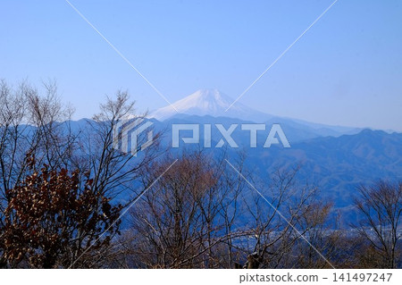 【神奈川縣】從神馬山眺望冬日清晨的景色 【神奈川縣】從神馬山眺望冬日清晨的景色 141497247