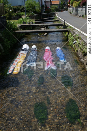 鳥取、四季漫步、鯉魚旗河、瀨戶川 鳥取、四季漫步、鯉魚旗河、瀨戶川 141497311
