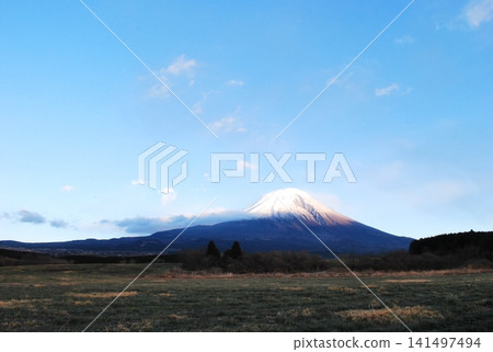 靜岡縣朝霧高原:廣闊的草原、蔚藍的天空和富士山。 靜岡縣朝霧高原:廣闊的草原、蔚藍的天空和富士山。 141497494